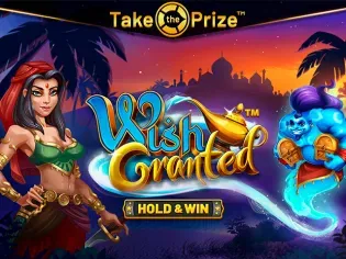 Wish Granted game thumbnail